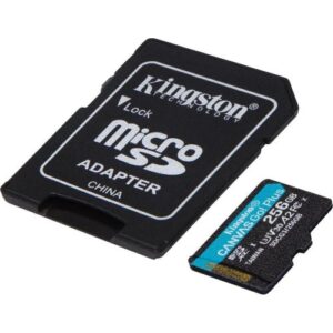 Kingston Technology Canvas Go! Plus 256 GB SD UHS-I Klasse 10